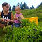 费茵霍夫林德勒公寓 Schlaiten