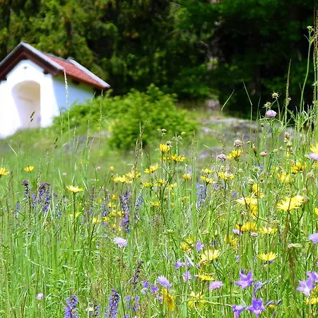 Διαμέρισμα Rindler Schlaiten