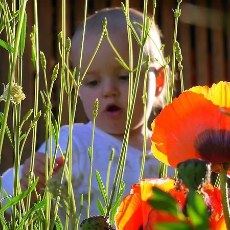 Rindler Διαμέρισμα